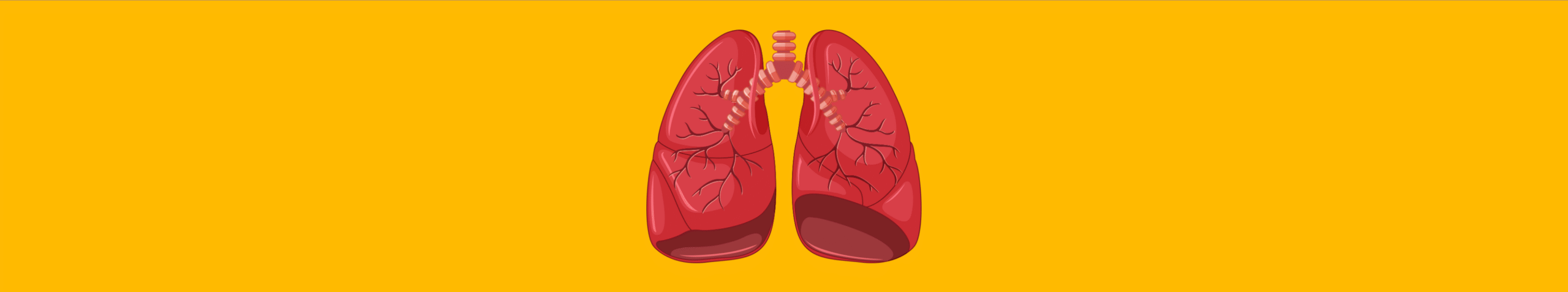 Rechner für den pulmonalen Gefäßwiderstand (PVR)