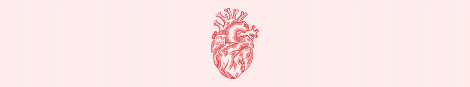 Aortic Valve Area Calculator