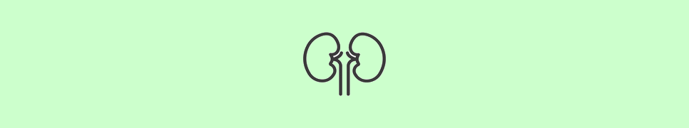 BUN Creatinine Ratio Calculator