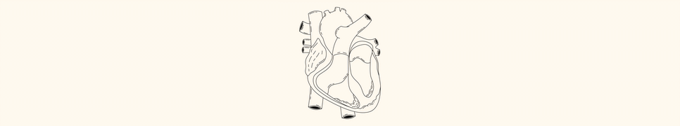 Ejection Fraction Calculator