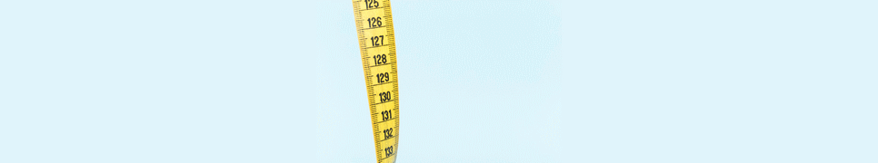 Length Converter