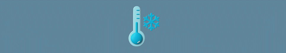 Temperature Converter